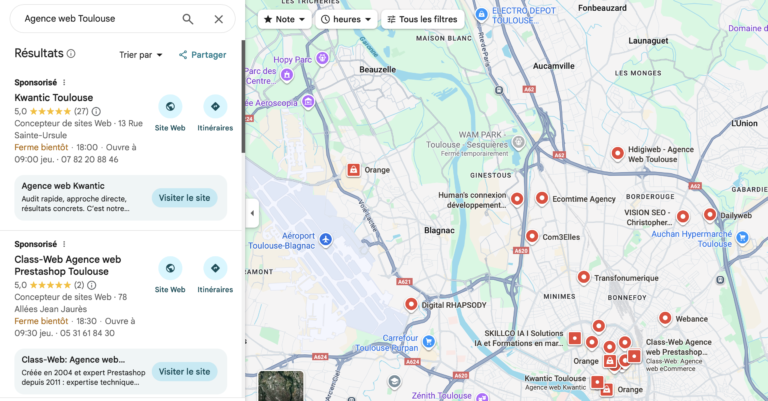 Exemple de recherche Google Maps consultant SEO